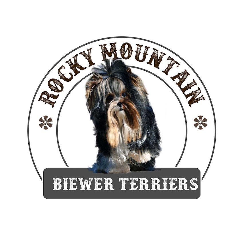 Rocky Mountain Biewer Terriers Logo