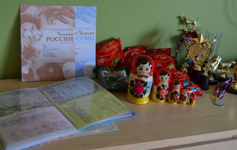 Ms Mary's Trophies and Champion Titles