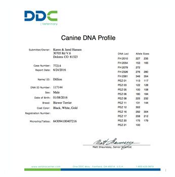 Biewer Terrier DNA Profile