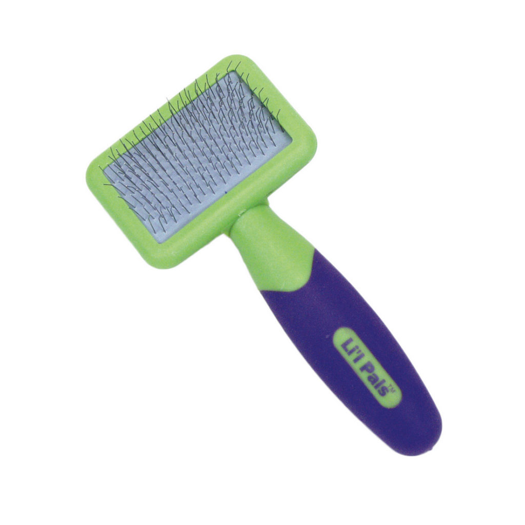 Biewer Terrier Mini Brush for Biewer Terrier Rocky Mountain Biewer