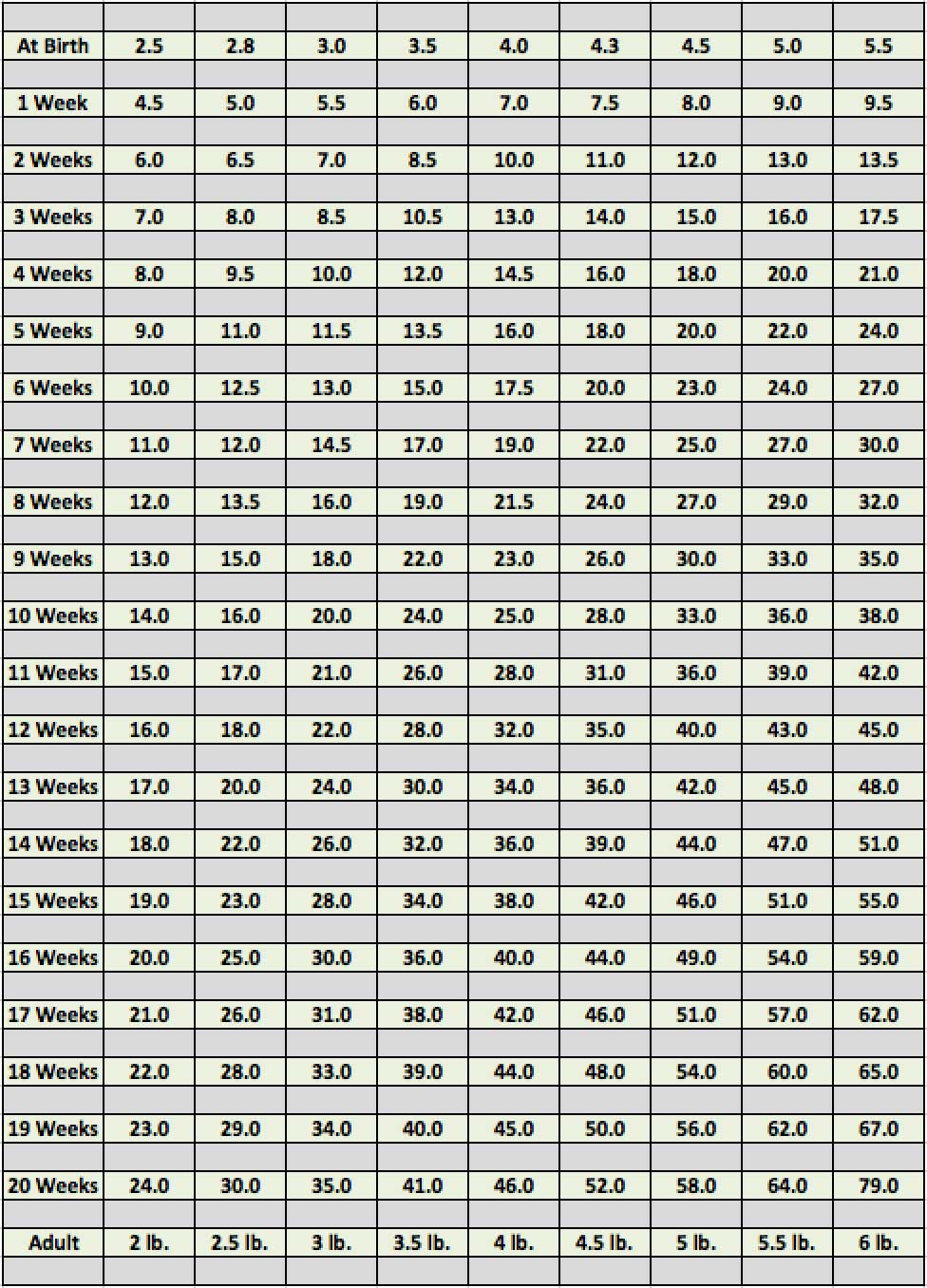 Biewer Terrier Growth Chart
