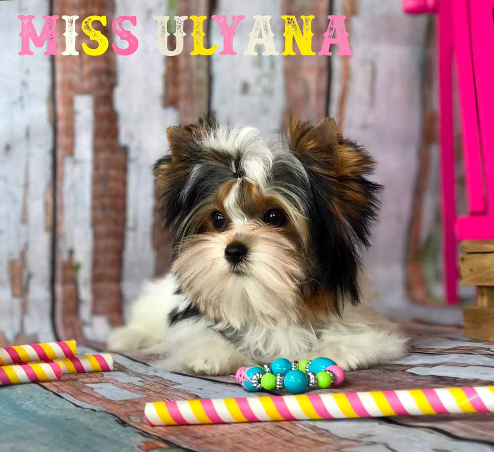 Rocky Mountain's Miss Ulyana