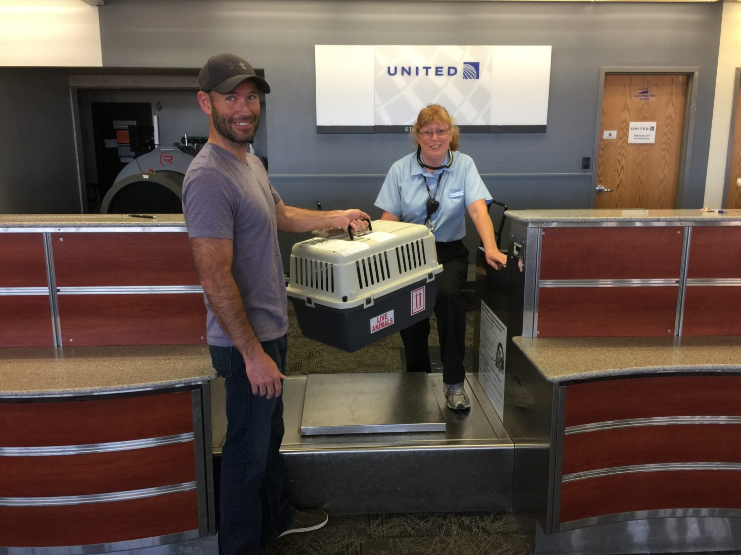 Biewer Puppy Shipping Drop Off