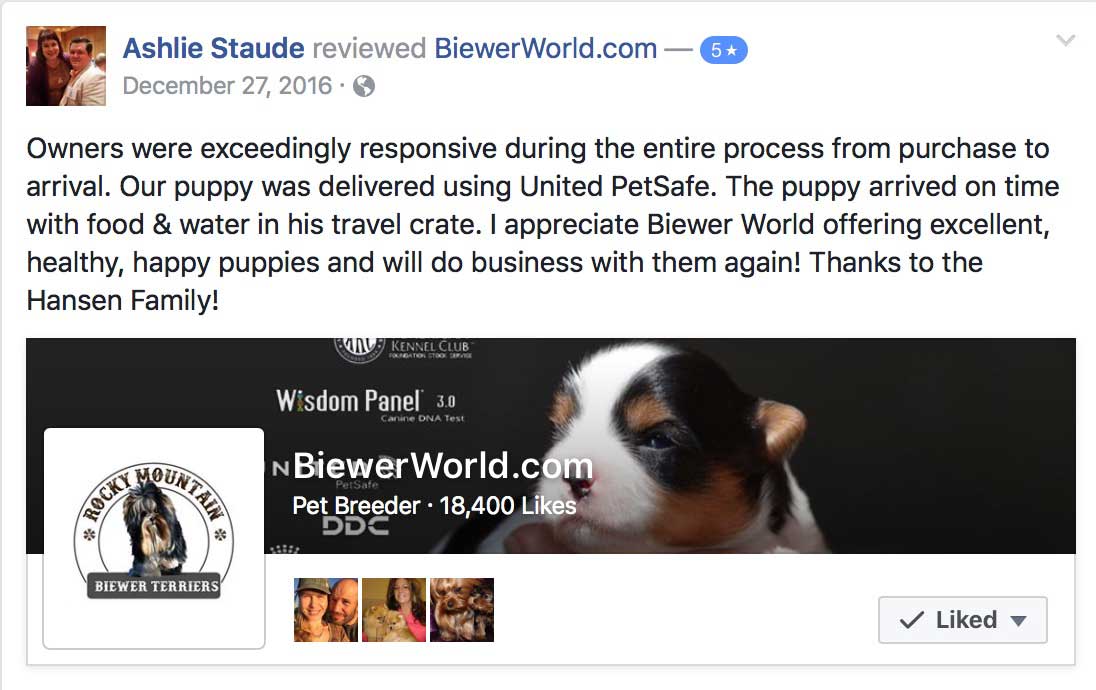 Facebook-Review-Ashlie-Staude-Rocky-Mountain-Biewer-Terriers