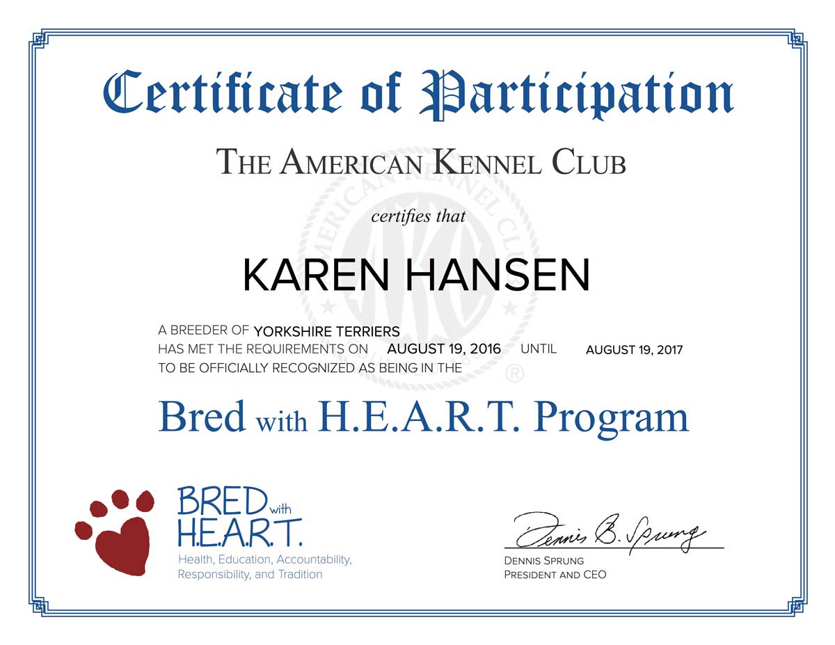 AKC Certificate for Rocky Mountain Biewer Terriers