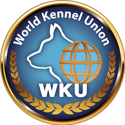 Investigation Insatiable Love Michael Ostern