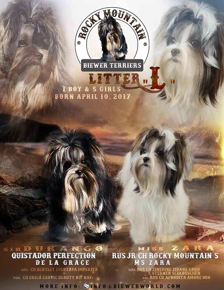 Rocky Mountain's Sir Bently of TNT cruising Pismo Beach