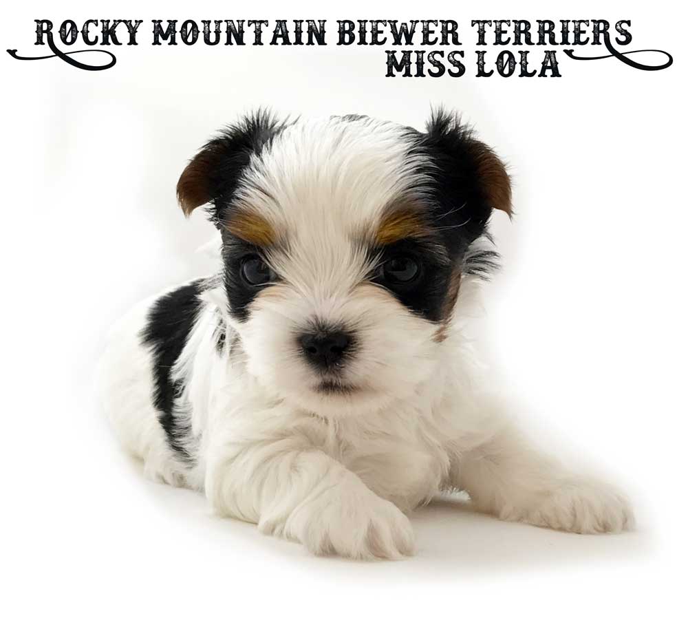 Rocky Mountain's Miss