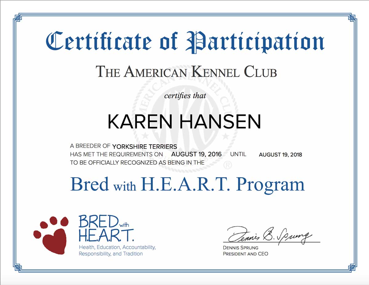 AKC Certificates 2017 Rocky Mountain Biewer Terriers