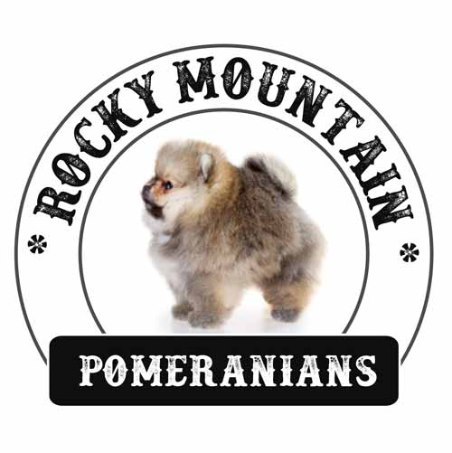 Rocky Mountain Pomeranians