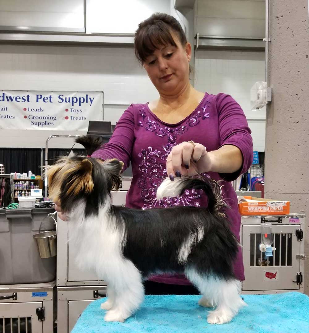 Rocky Mountain's Miss Janice show grooming
