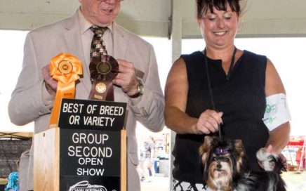 Rocky Mountain's Sir Remington wins Best of Breed