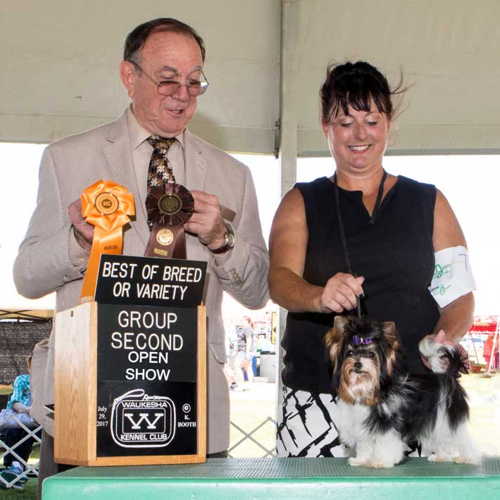 Rocky Mountain;s Sir Remington wins Best of Breed