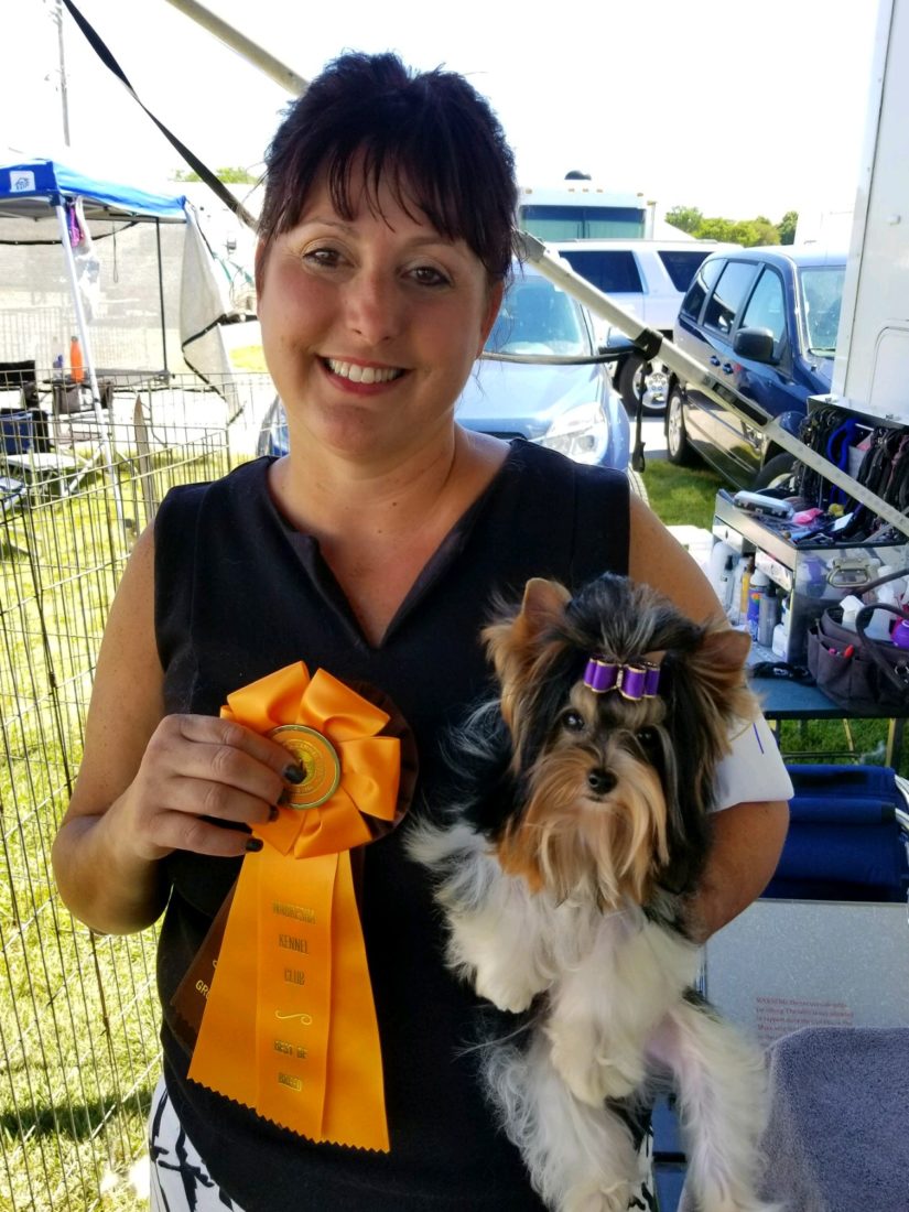 Rocky Mountain's Sir Remington wins Best of Breed at the Waukesha
