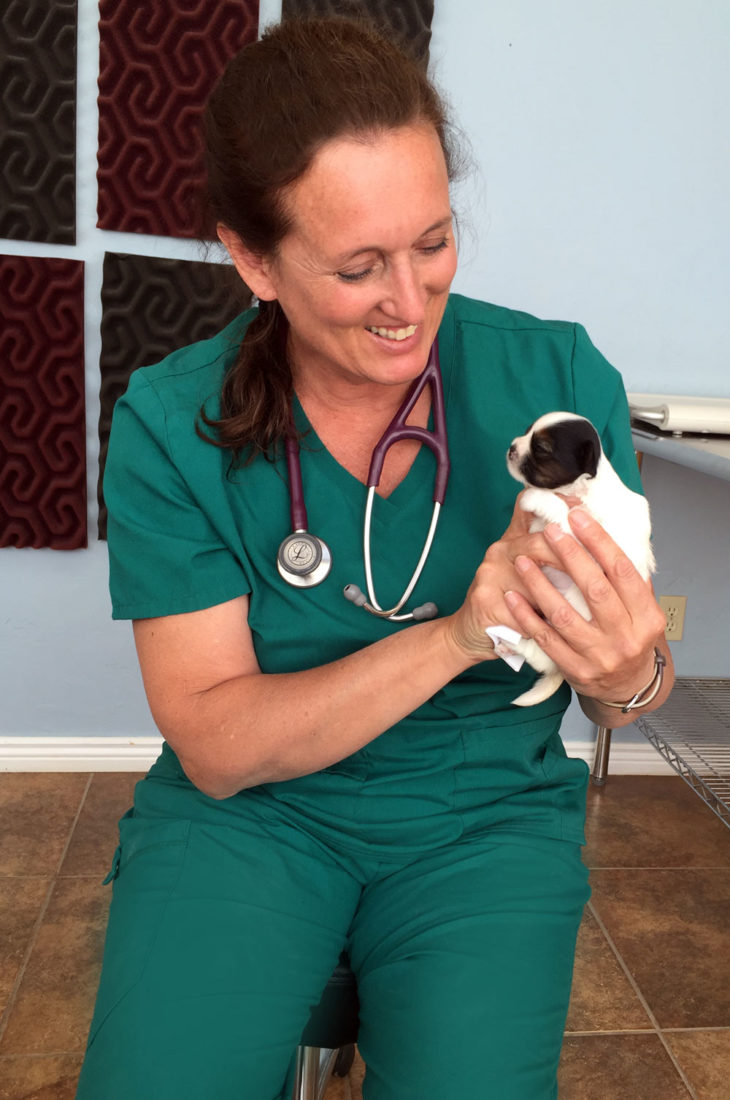Dr. Kris Dolores Animal Hospital with Rocky Mountain Biewer Terriers