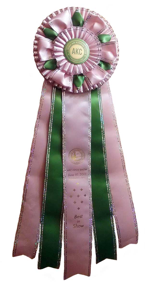 Rocky Mountain's Sir Casper wins Best in Show BIS