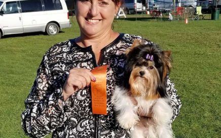 Rocky Mountain's Sir Remington wins Best of Breed at Tuxedo Park Kennel Club