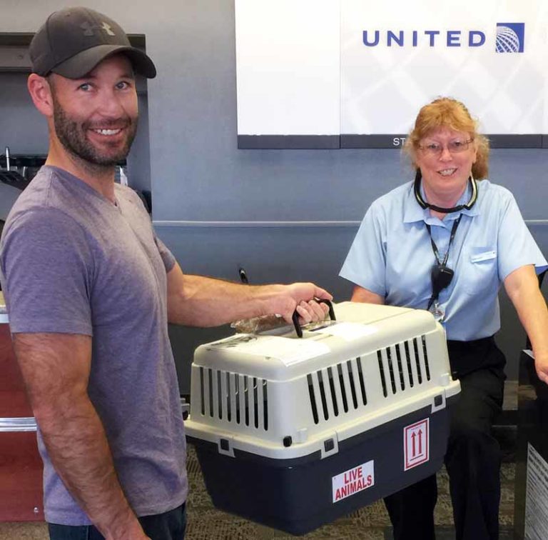 United is putting its PetSafe program on suspension