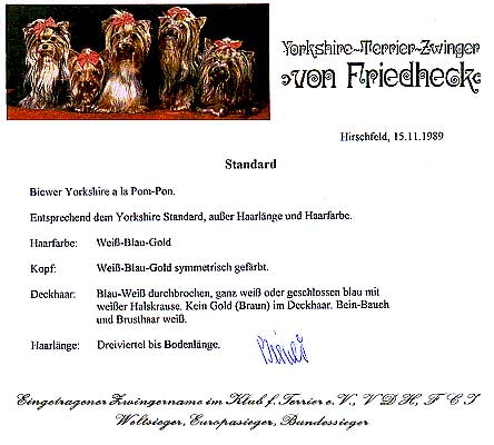 Original Biewer Yorkshire Terrier Breed Standard