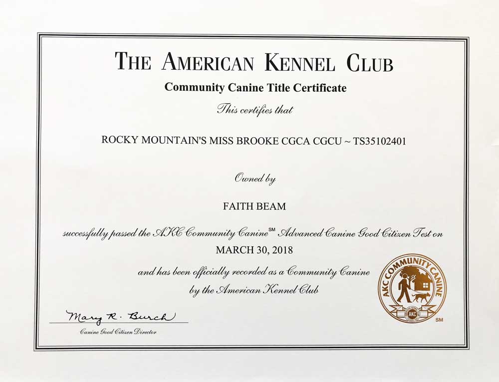 Rocky Mountain's Miss-Brooke Biewer Terrier AKC Community Canine Title Certificate