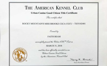 Rocky Mountain's Miss-Brooke Biewer Terrier AKC Urban Community Canine Title Certificate