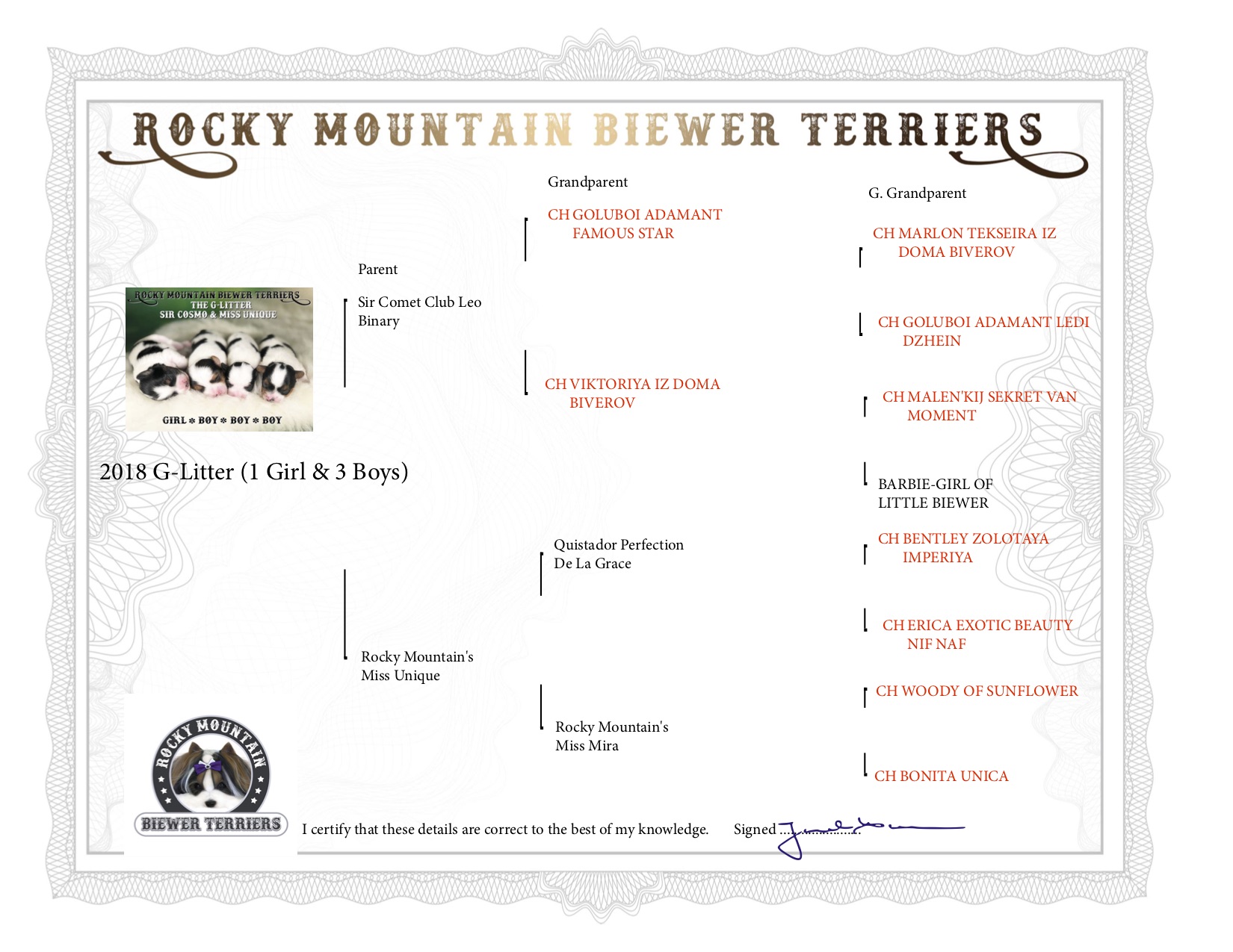 Biewer Terrier Litter Certificate