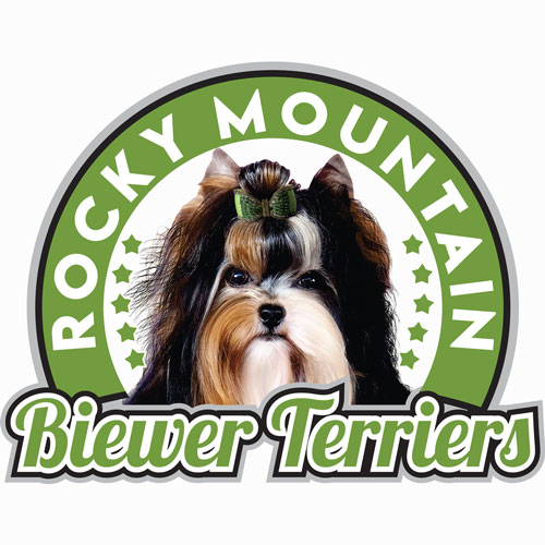 Rocky Mountain Biewer Terriers