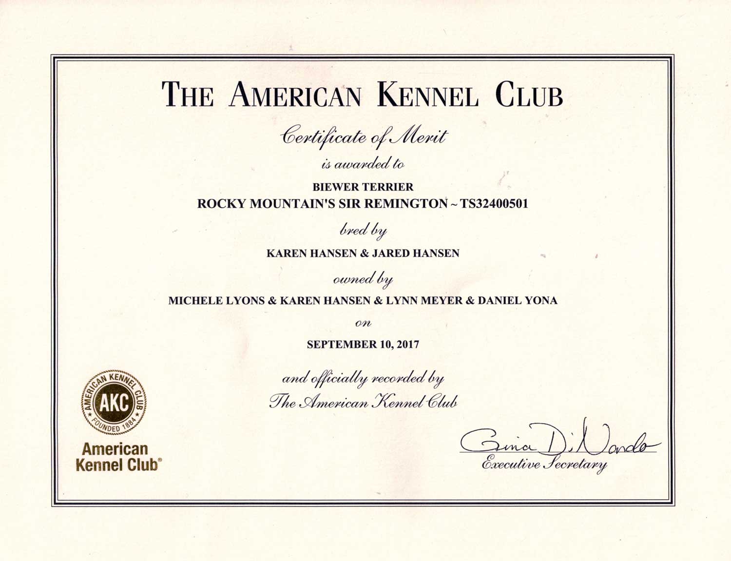 Biewer Terrier Rocky Mountain's Sir Remington Champion Title Certificate