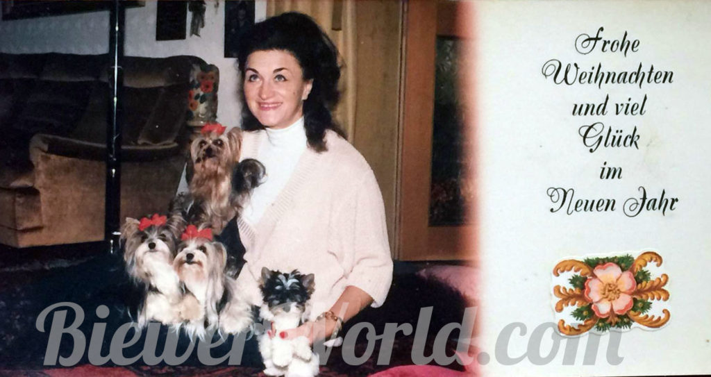 Gertrud Biewer and her Biewer Yorkies on a Christmas Card