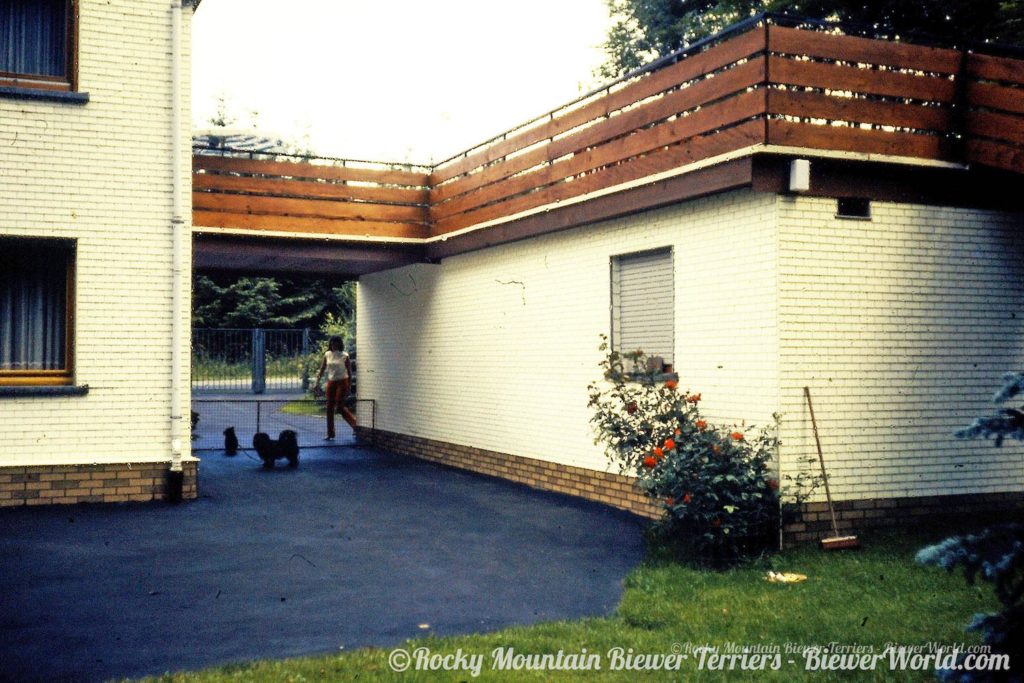 The house in Hirschfeld with the new Friedheck Kennel area upstairs