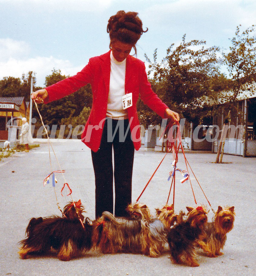 Gertrud Biewer at a dog show with her Friedheck Yorkshire Terriers