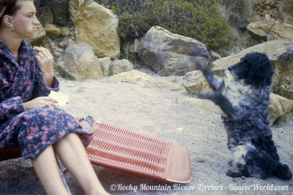 Gertrud Biewer with her dog begging for a treat