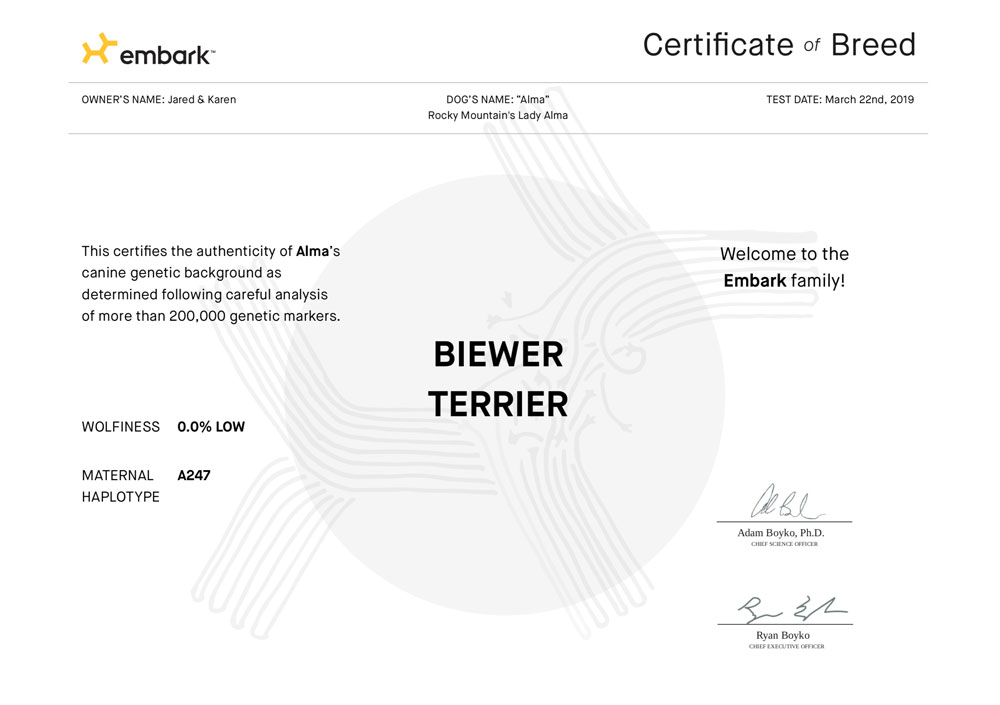 Embark Breed Certificates for Rocky Mountain Biewer Terriers 