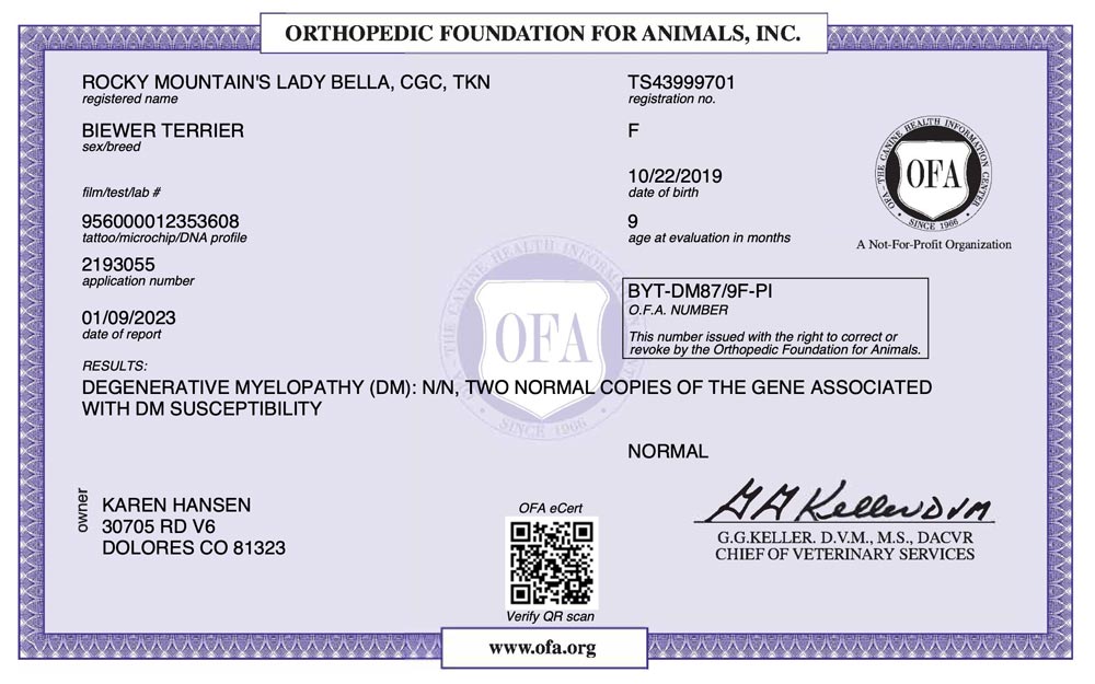 Biewer Terrier Rocky Mountains Lady Bella DM OFA Health Test Certificate