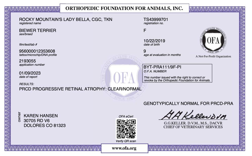 Rocky Mountain's Lady Bella OFA PRCD Health Test Certificate