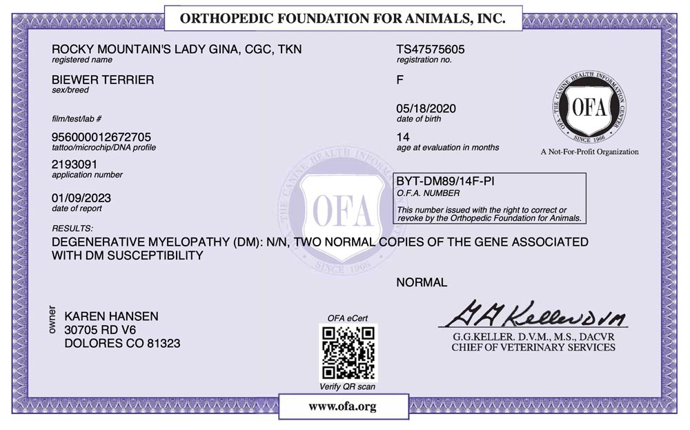 Biewer Terrier Rocky Mountains Lady Gina DM OFA Health Test Certificate