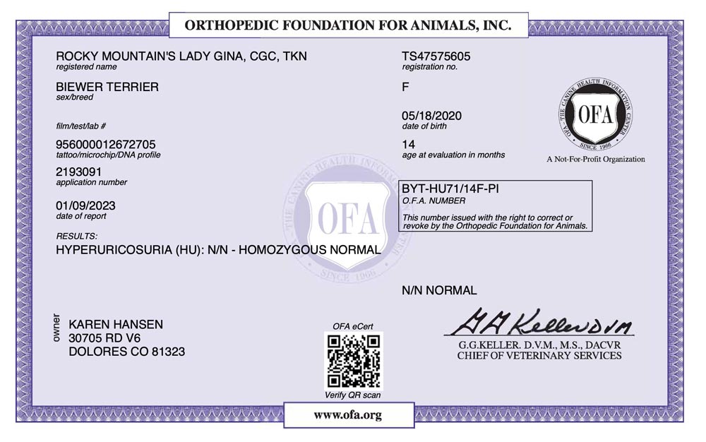 Biewer Terrier Rocky Mountains Lady Gina HU OFA Health Test Certificate