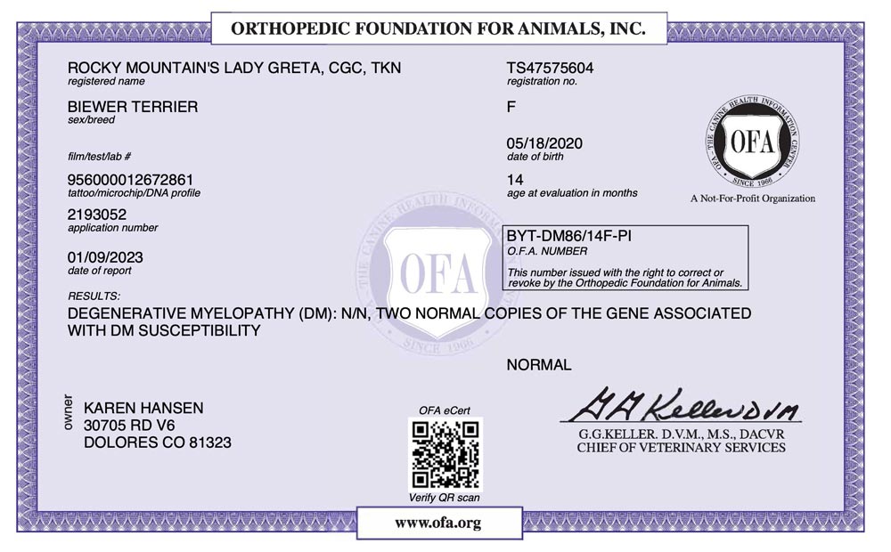 Biewer Terrier Rocky Mountains Lady Greta DM OFA Health Test Certificate