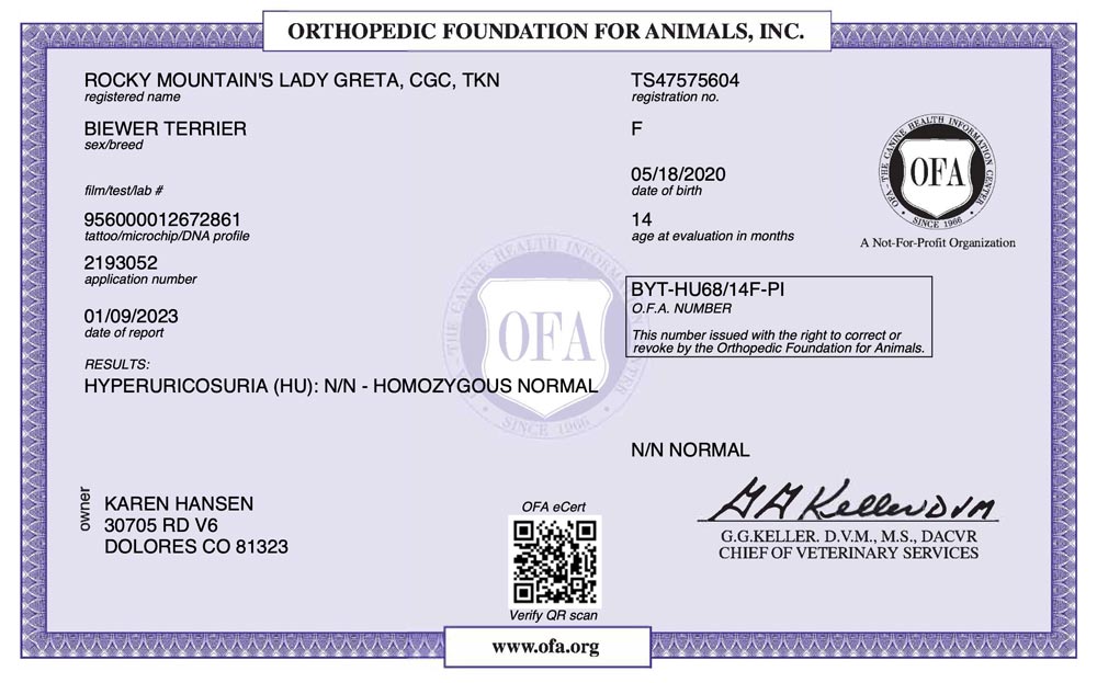 Biewer Terrier Rocky Mountains Lady Greta Me HU OFA Health Test Certificate