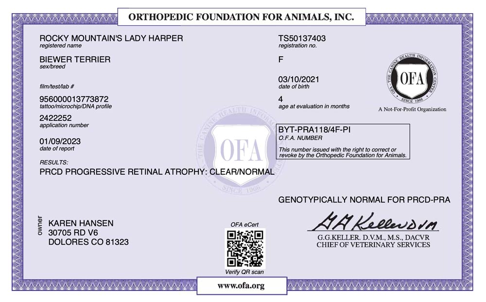Biewer Terrier Rocky Mountain's Lady Harper OFA PRCD Health Test Certificate