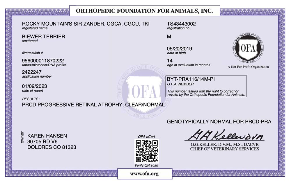 Biewer Terrier Rocky Mountains Sir Zander PRCD OFA Health Test Certificate