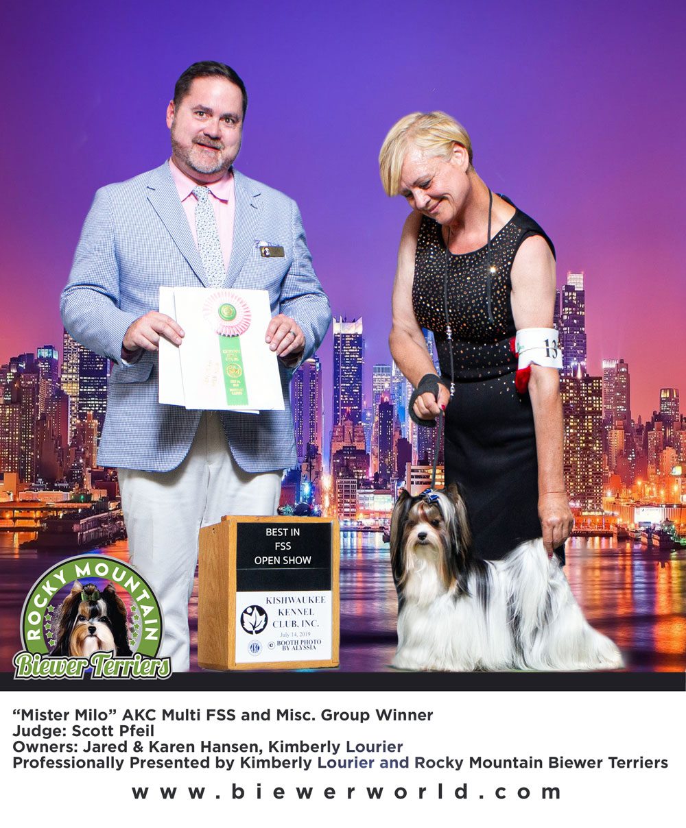 Biewer Terrier Milo and Kimberly 2019