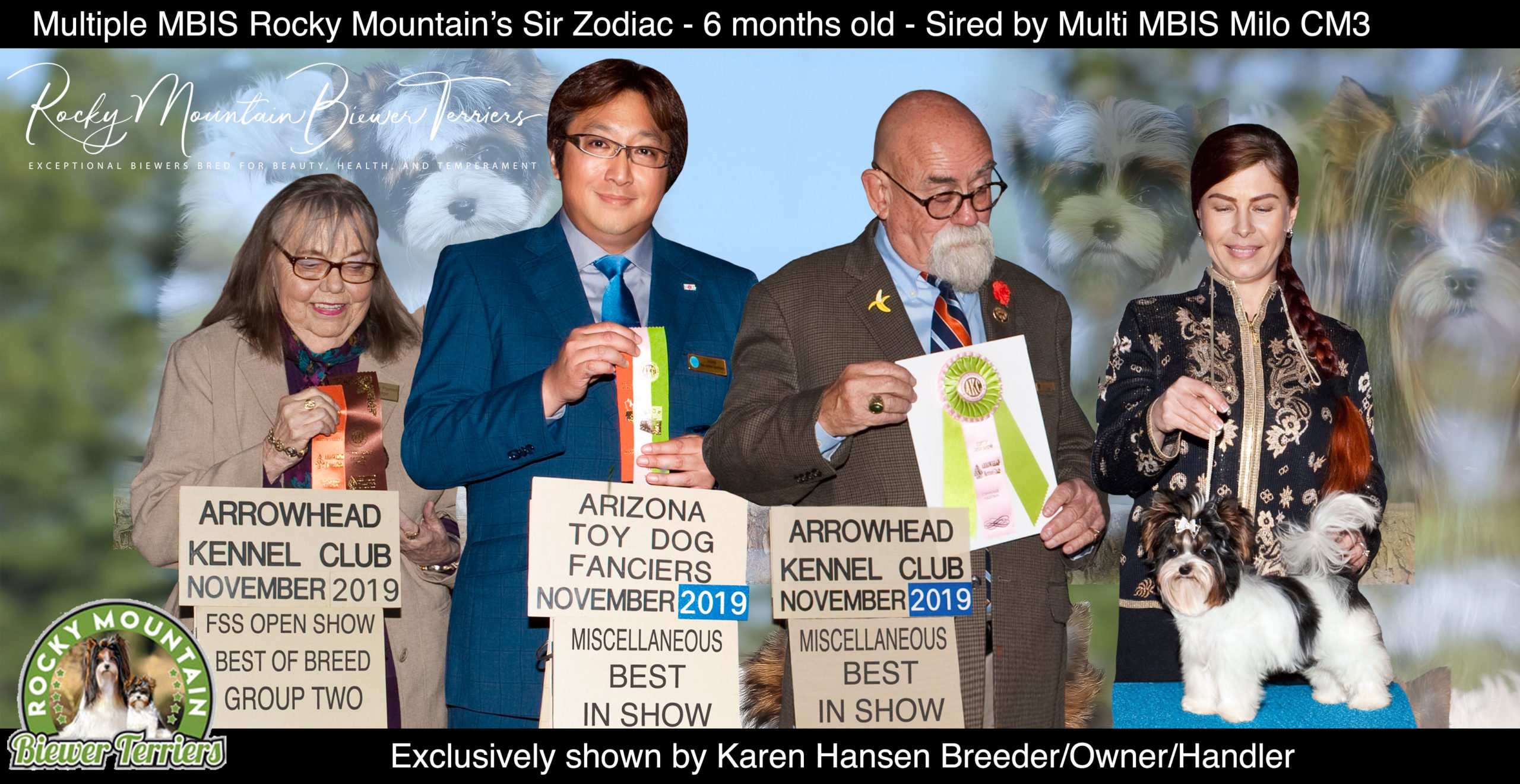 Biewer Terrier Rocky Mountain's Sir Zodiac 2019 Colorado Shows