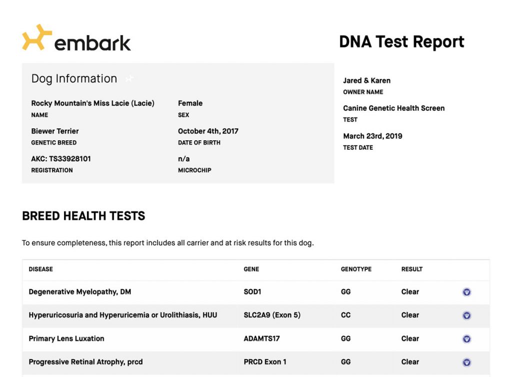 OFA Test Report Biewer Terrier