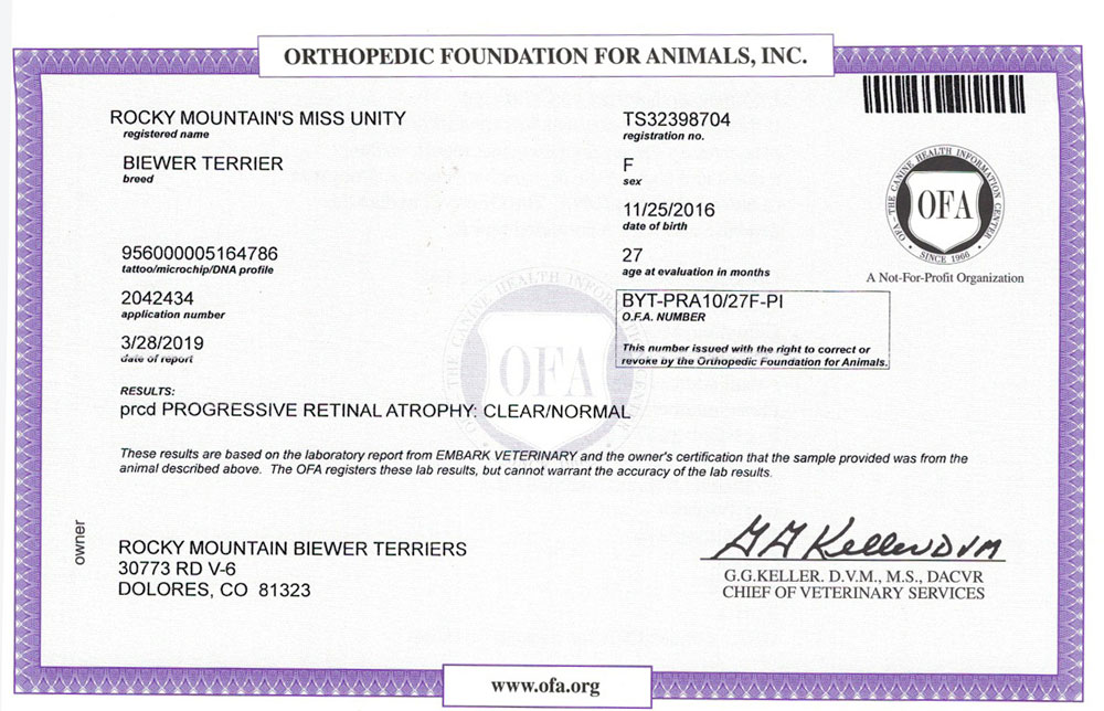Biewer Terrier Rocky Mountain's Lady Unity OFA PRCD Health Test Certificate