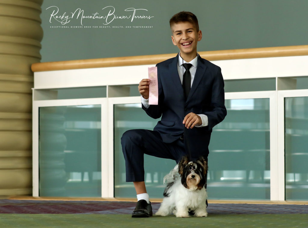 Biewer Terrier Rocky Mountain's Sir Zodiac Orlando 2019