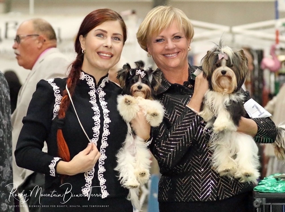 Biewer Puppies with Kimberly and Karen Hansen
