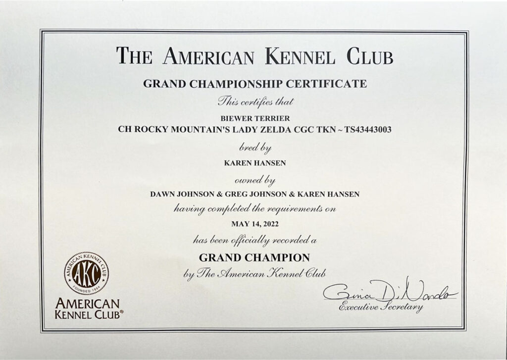 Biewer Terrier Rocky Mountain's Lady Zelda Grand Champion Title Certificate