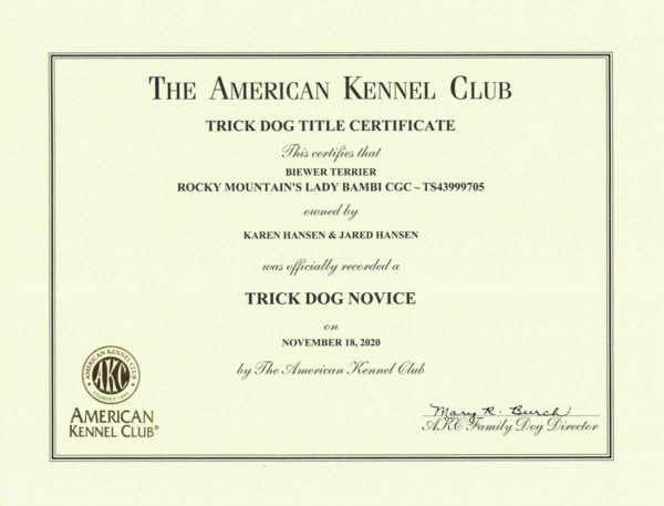 Rocky Mountain's Lady Bambi AKC Trick Dog Certificate