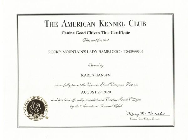 Rocky Mountain's Lady Bambi AKC CGC Certificate